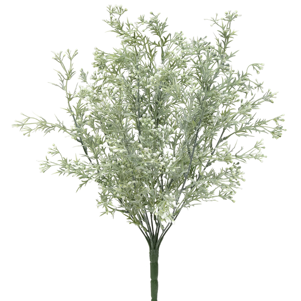 Flowering Bud Bush White