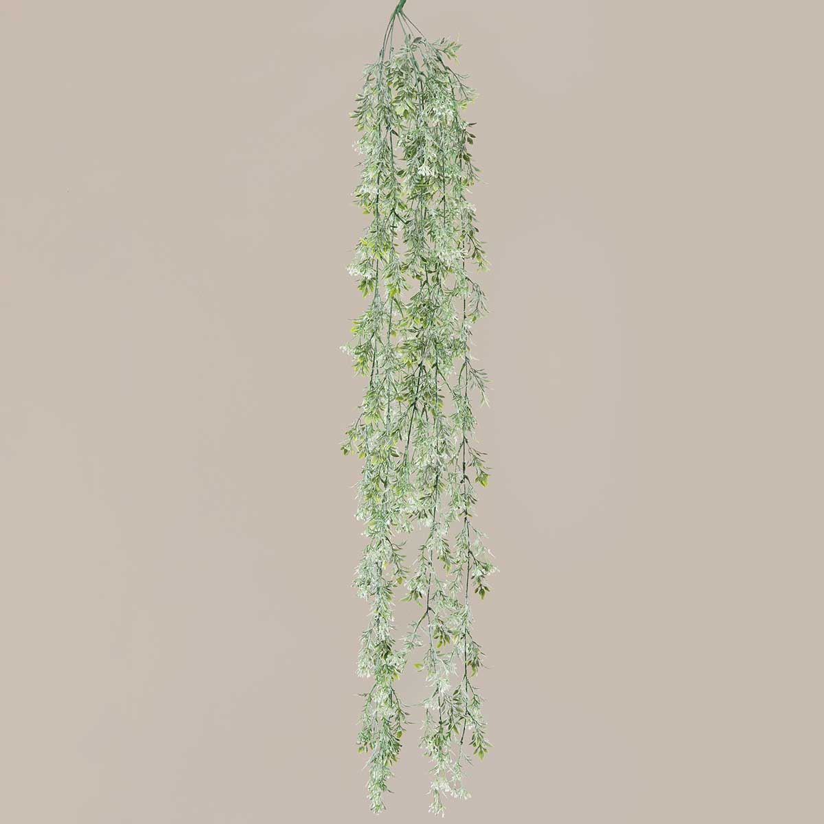 HANGING VINE SPRENGER GRASS 9IN X 49IN GREEN/WHITE - Click Image to Close