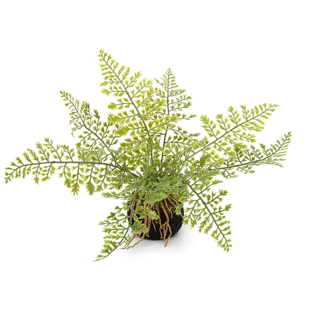 MAIDENHAIR FERN WITH FAUX DIRT, MOSS AND ROOTS 15"X10"