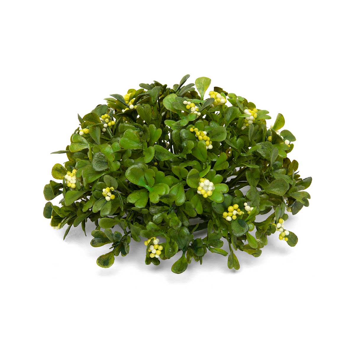 DOME BOXWOOD WITH BERRIES SMALL 5IN X 2.5IN GREEN/WHITE - Click Image to Close