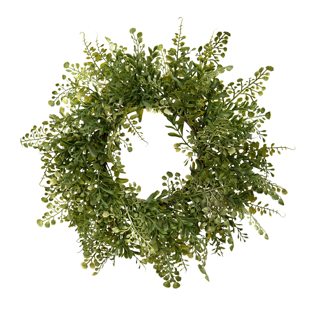 WREATH MIXED MAIDENHAIR FERN 16IN (INNER RING 5.5IN) - Click Image to Close