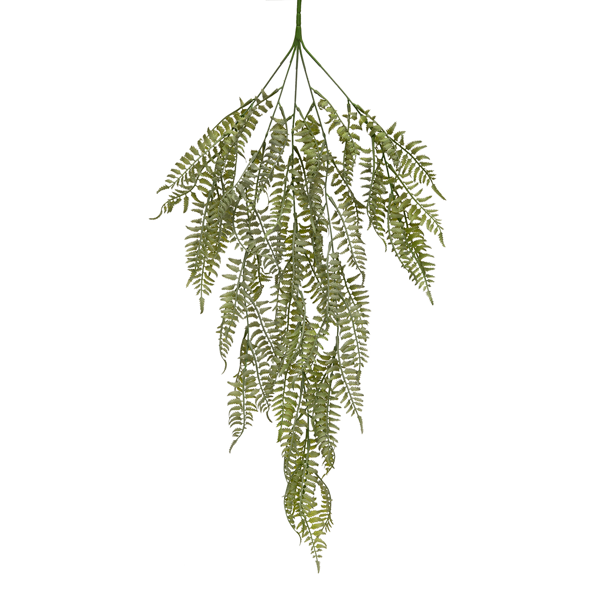 HANGING BUSH SWORD FERN 11IN X 29IN GREY - Click Image to Close