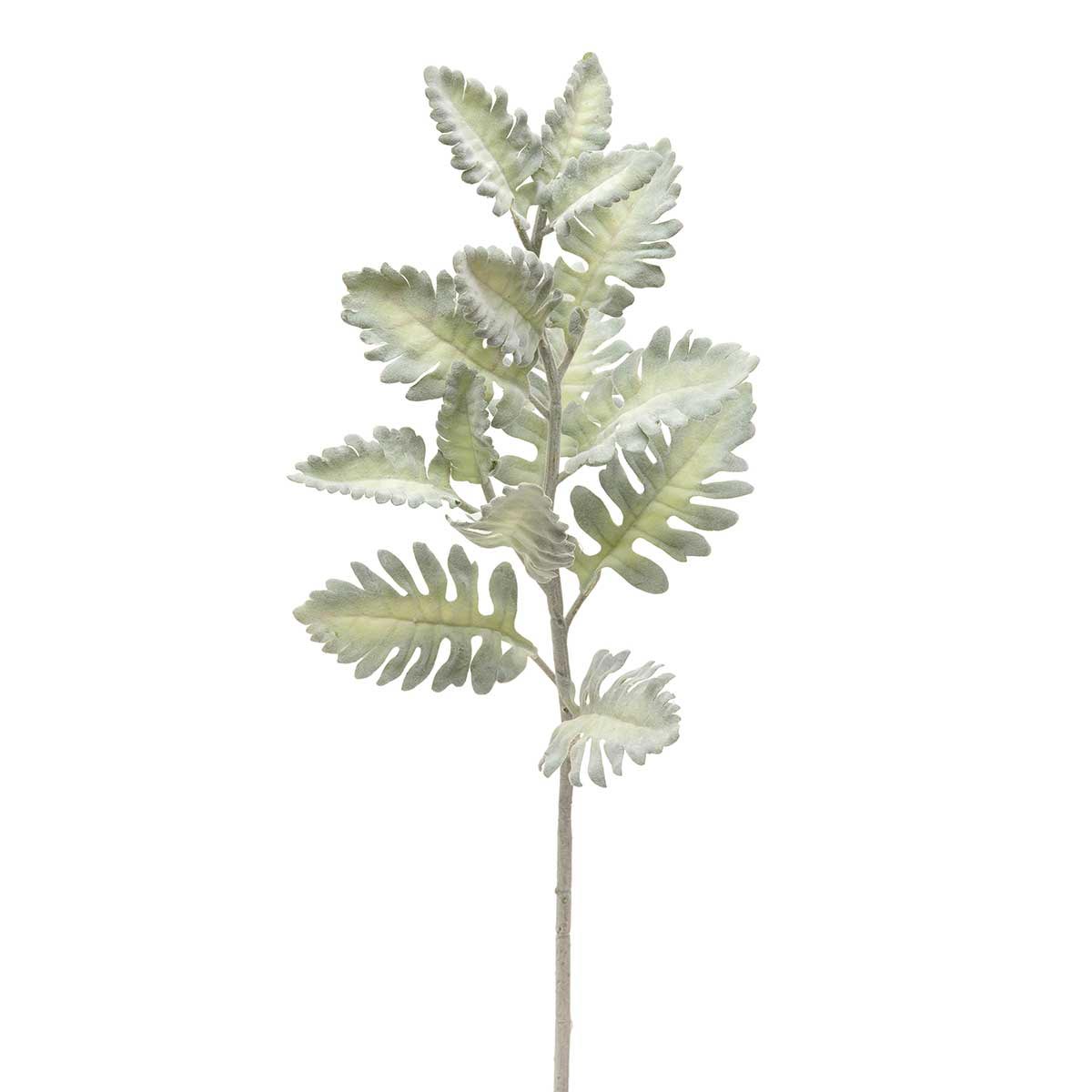 SPRAY DUSTY MILLER GREEN 7IN X 31IN - Click Image to Close