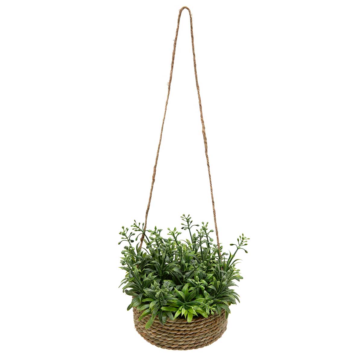 SAGE IN BASKET 6IN X 5IN WITH TWINE HANGER - Click Image to Close