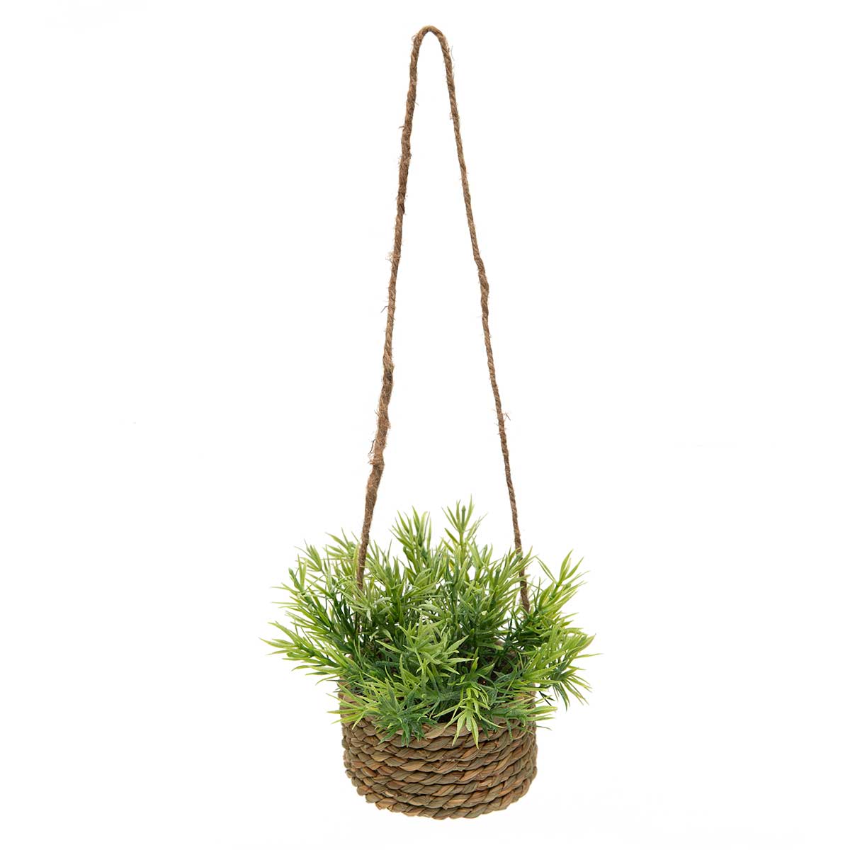 ROSEMARY IN BASKET 5IN X 4.5IN WITH TWINE HANGER - Click Image to Close