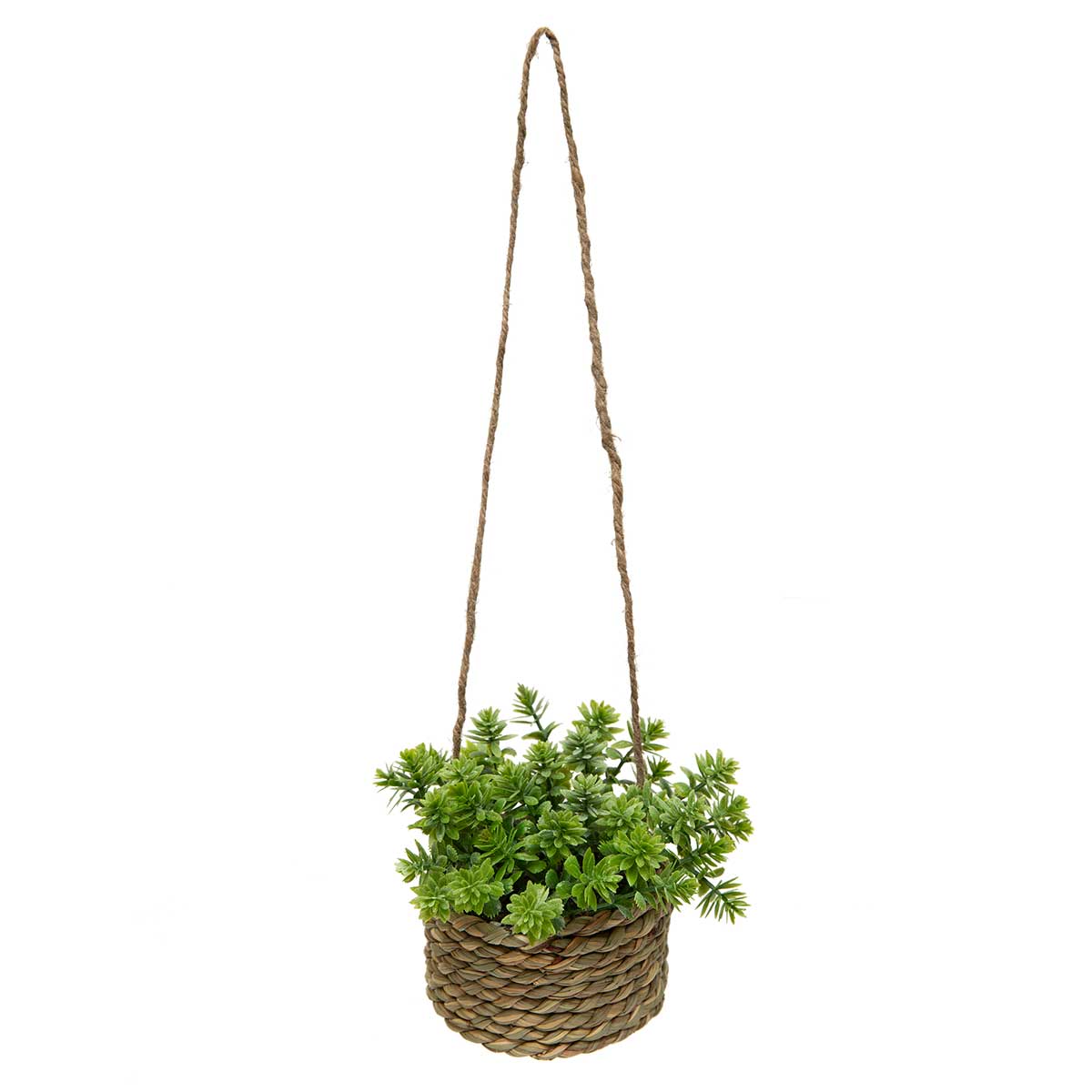 SEDUM IN BASKET 5.5IN X 3.5IN WITH TWINE HANGER - Click Image to Close
