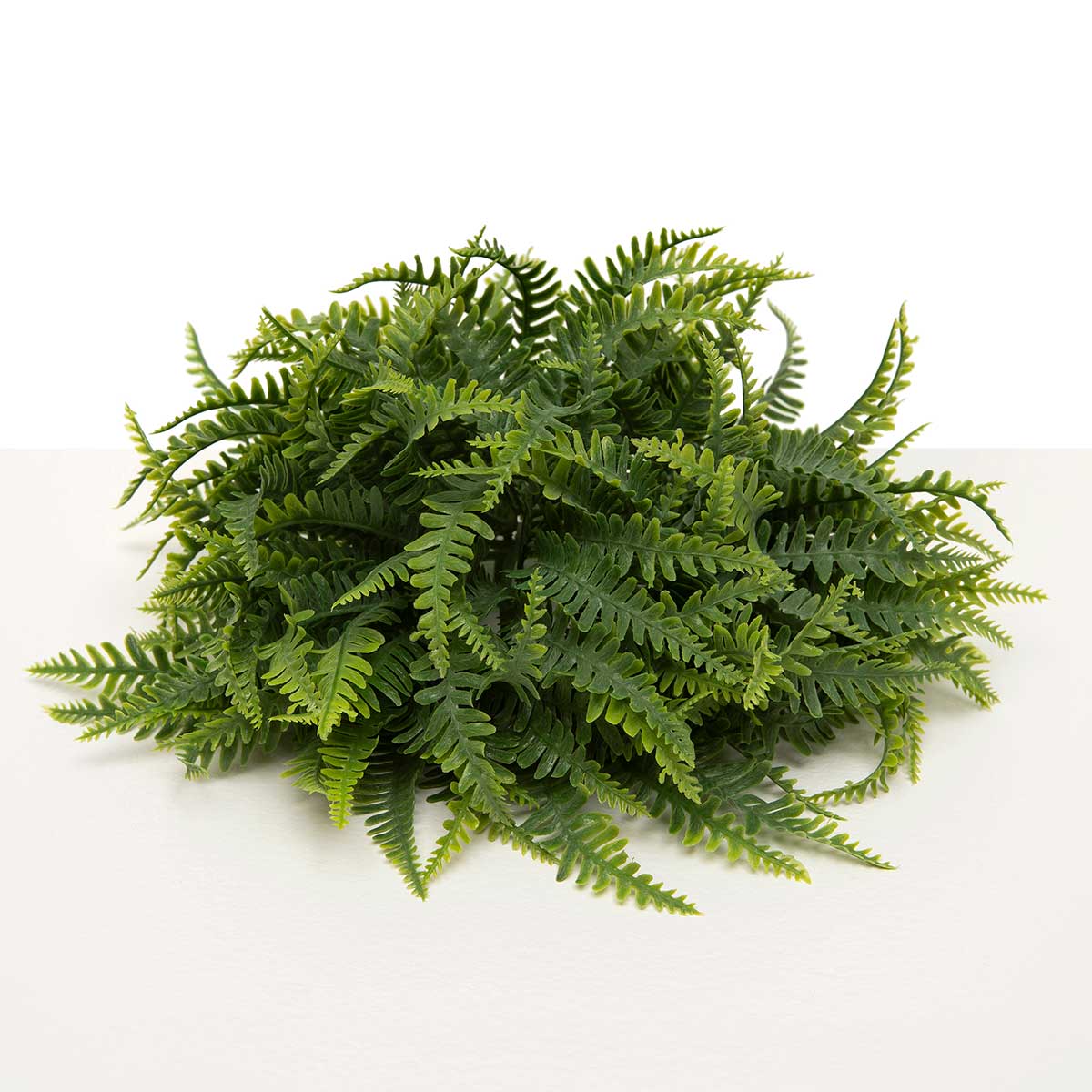 DOME RESURRECTION FERN 9IN X 3.5IN - Click Image to Close