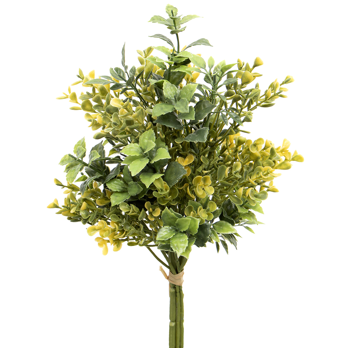 Boxwood with Yellow Blossom Bundle