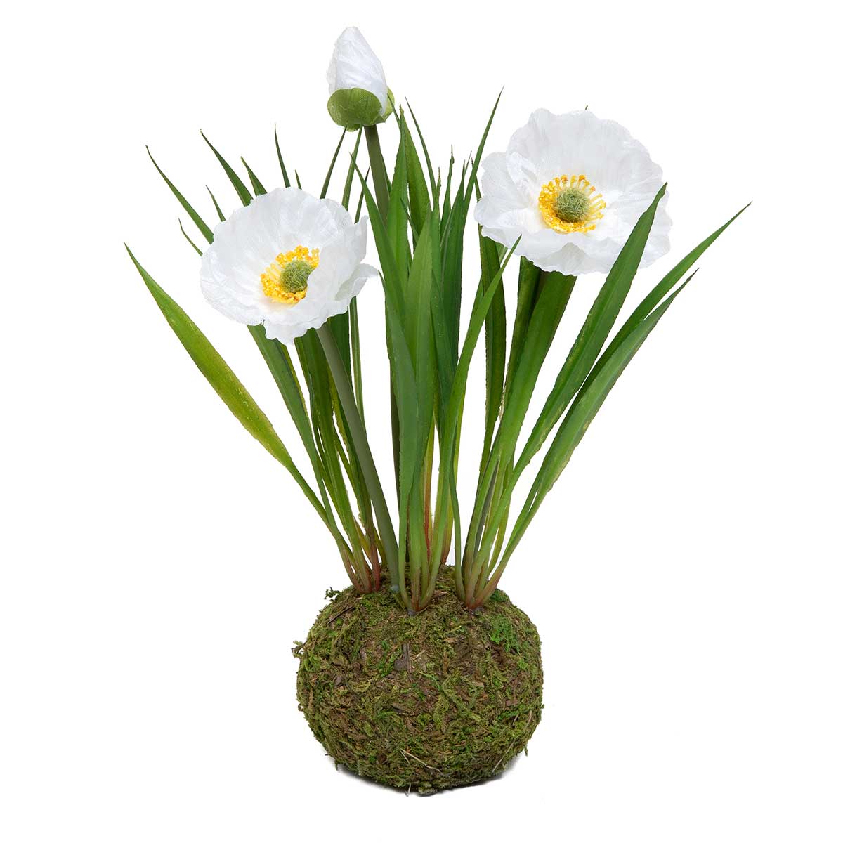 POPPY WHITE WITH FAUX DIRT AND MOSS 5"X8.5"