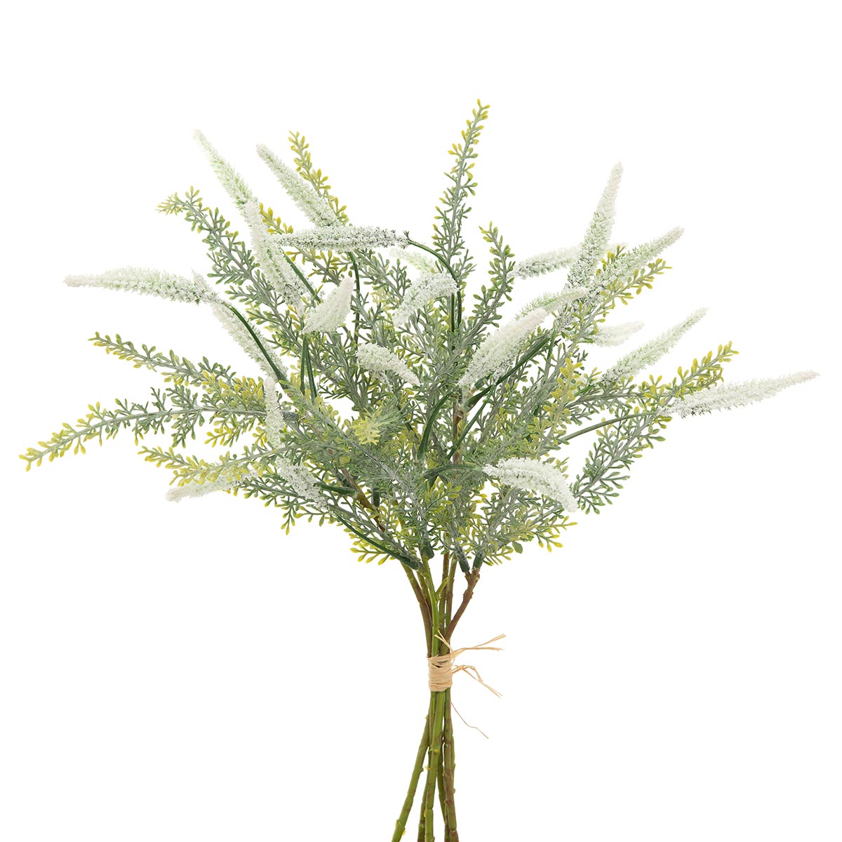 ASTILBE AND GRASS BUNDLE OF 6 TIED WITH RAFFIA WHITE 10"X16"