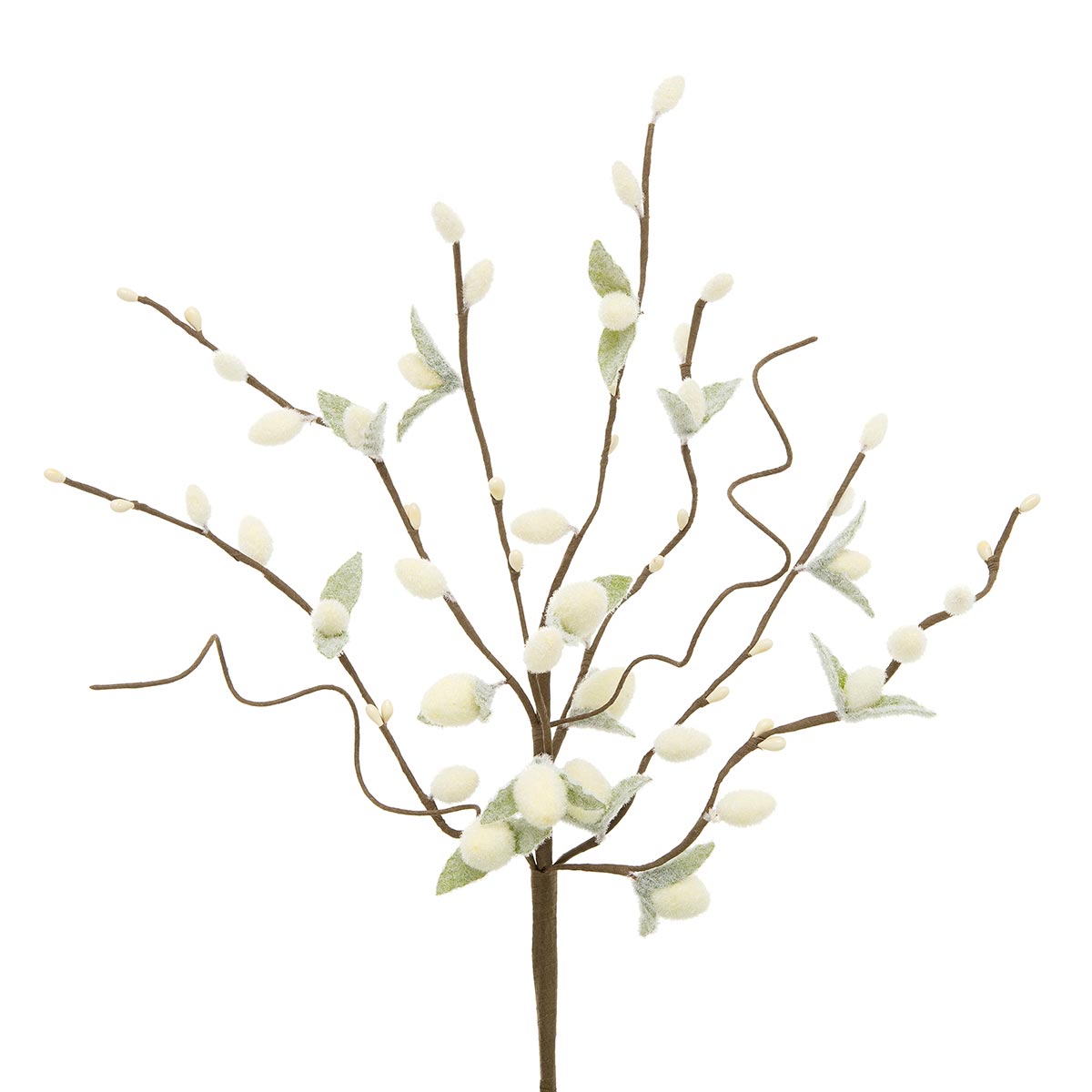 PUSSY WILLOW BUSH WITH WHITE PIP BERRIES 5"X16"