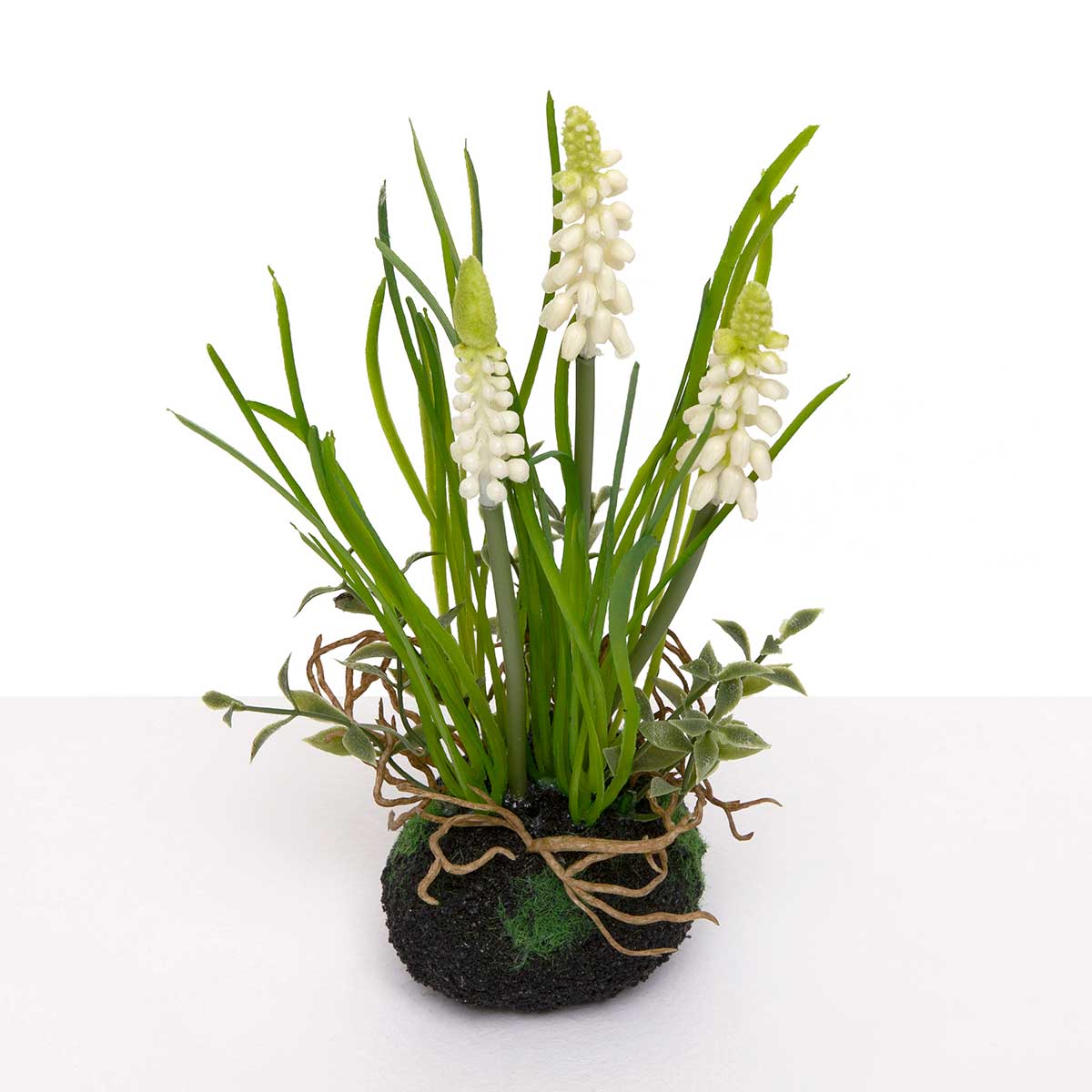 WHITE GRAPE HYACINTH WITH 4IN X 8IN (2IN HEAD)
