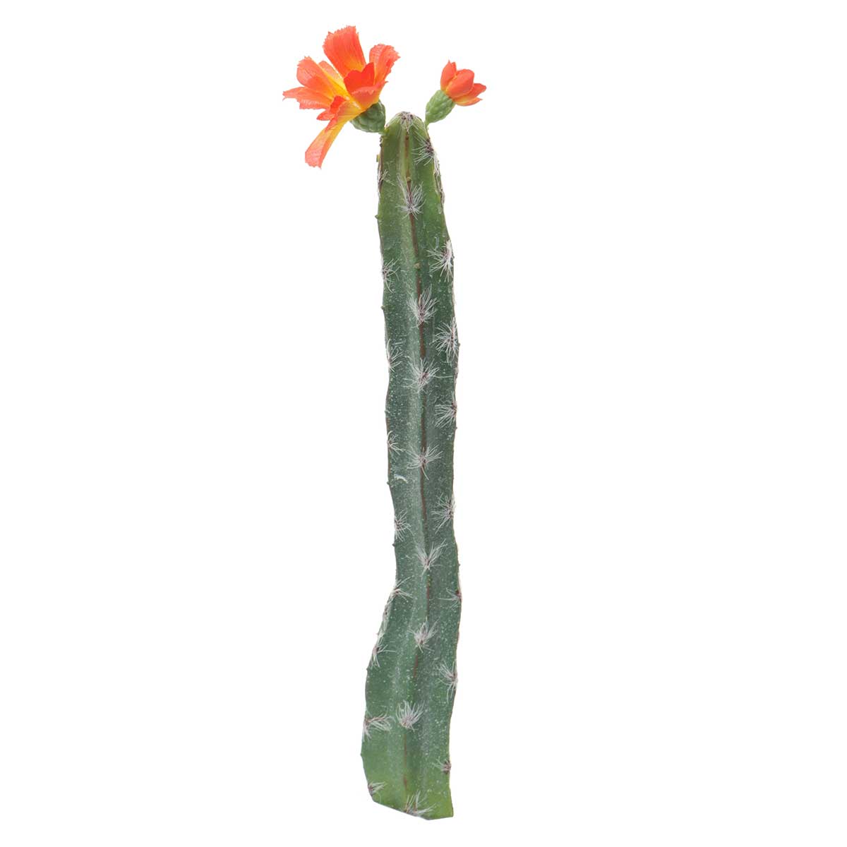 CACTUS WITH FLOWER 2.75"X14" B50