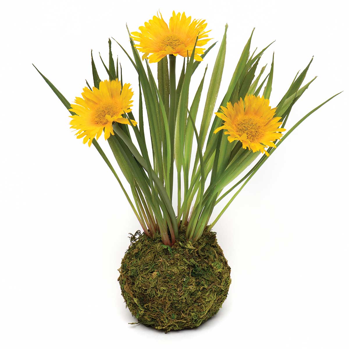 !MUM X3 WITH FAUX DIRT/MOSS 6"X8" YELLOW