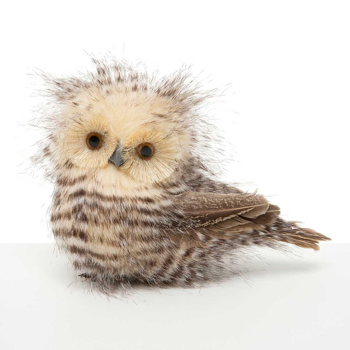 OWLET FEATHERED