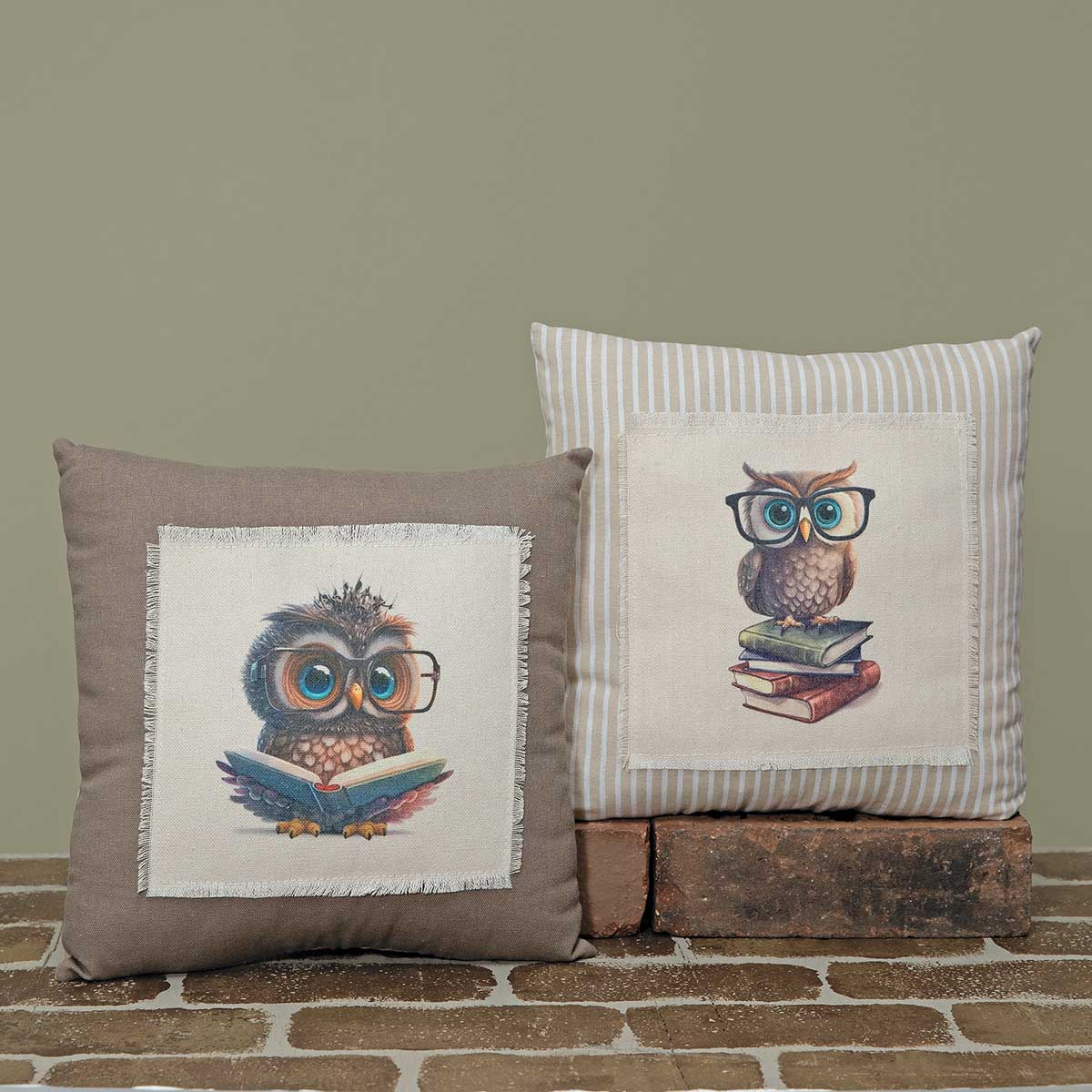 OWL W/GLASSES PILLOW 2 AST LG