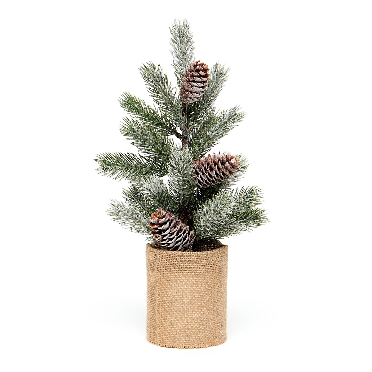 !SPRUCE PINE TREE IN BURLAP BASE WITH SNOW AND PINECONES