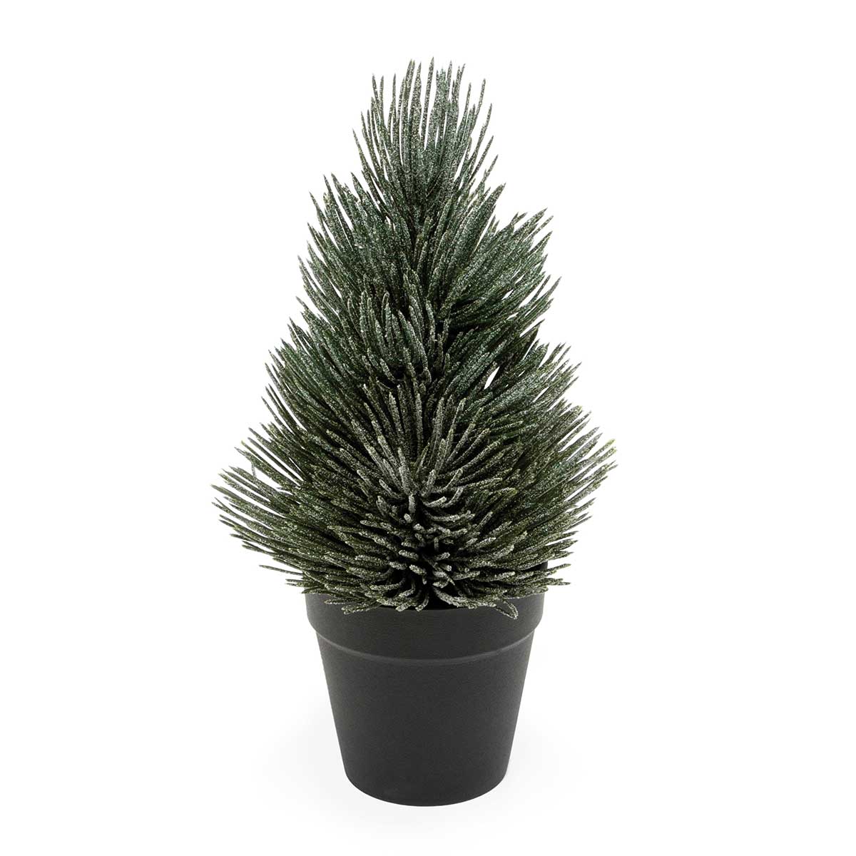 !FROSTED PINE TREE IN BLACK POT