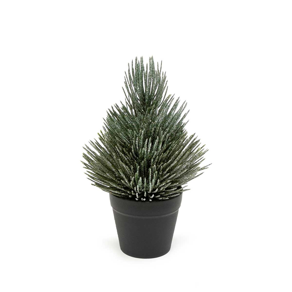 FROSTED PINE TREE IN BLACK POT SMALL