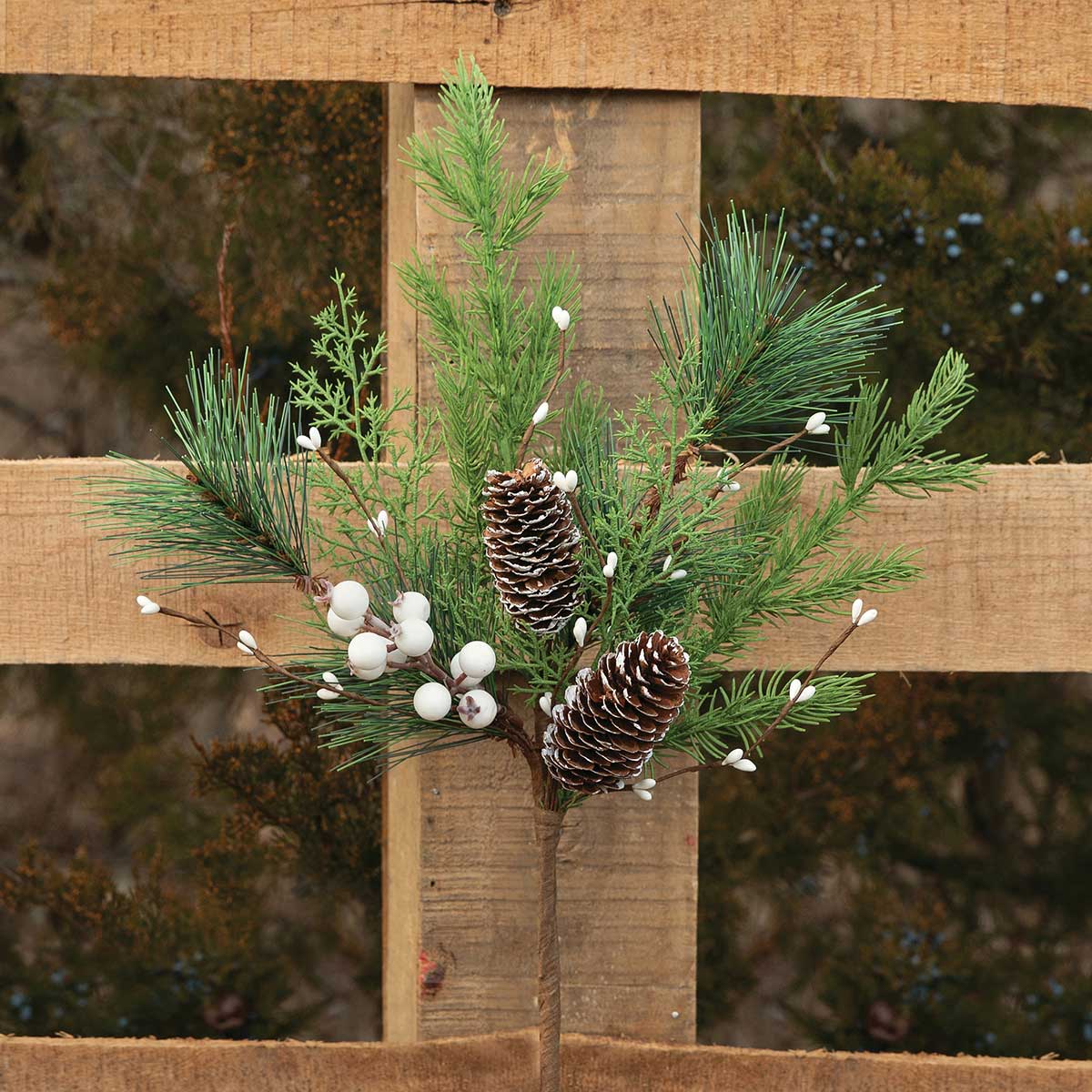 WHITE BERRY/PINE PIK WITH WHITE PIP BERRIES - Click Image to Close